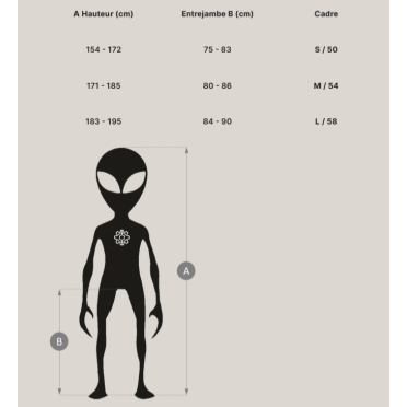 Darkside Mannheim Urban / U-Cross singlespeed-fiets