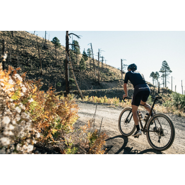 Gravelfiets State Bicycle 6061 Black Label All-Road