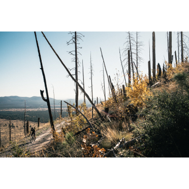 Gravelfiets State Bicycle 6061 Black Label All-Road