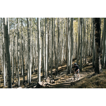 Gravelfiets State Bicycle 6061 Black Label All-Road