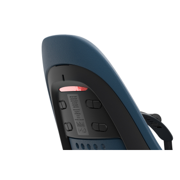 Thule Yepp 2 Maxi kinderfietszitje