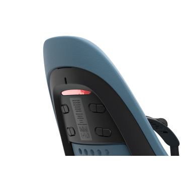 Thule Yepp 2 Maxi kinderfietszitje