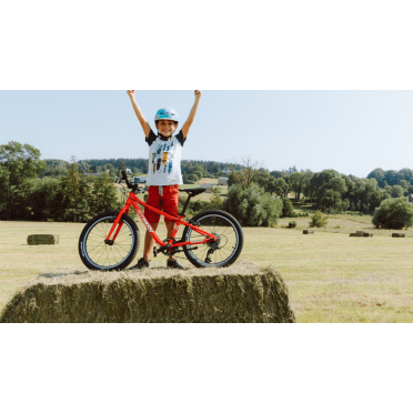 Bemoov M20 20 inch kinderfiets