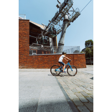 Bemoov M20 20 inch kinderfiets