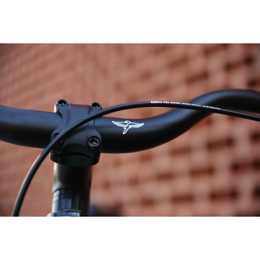 Fairdale Lookfar stadsfiets met 8 versnellingen