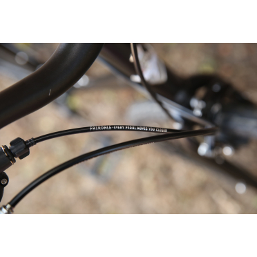 Fairdale Lookfar stadsfiets met 8 versnellingen