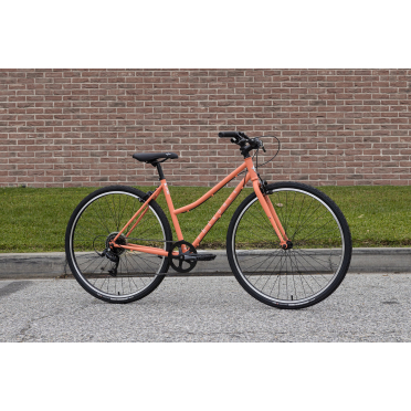 Fairdale Lookfar Step-Thru stadsfiets met 8 versnellingen