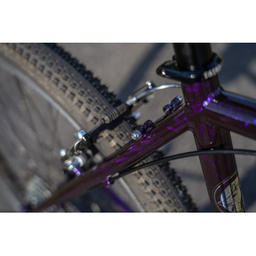 Fairdale Ridgemont stadsfiets met 8 versnellingen