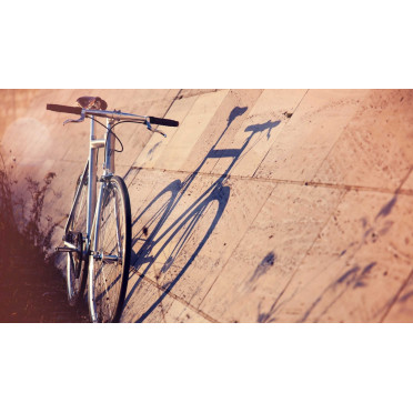 Fixiefiets / Singlespeed Schindelhauer Siegfried