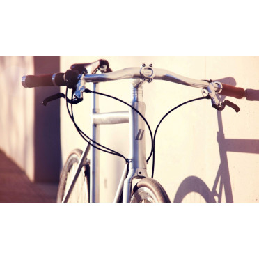 Schindelhauer Wilhelm XIV stadsfiets