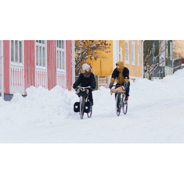 Pelago Lowrider fietsendrager vooraan