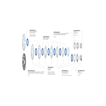 Miche Primato 10 CA 10-speed fietscassette
