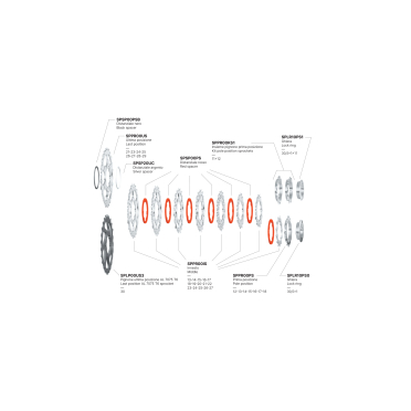 Miche Primato 10 SH 10-speed fietscassette