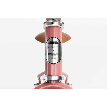 Banwood Icon loopfiets