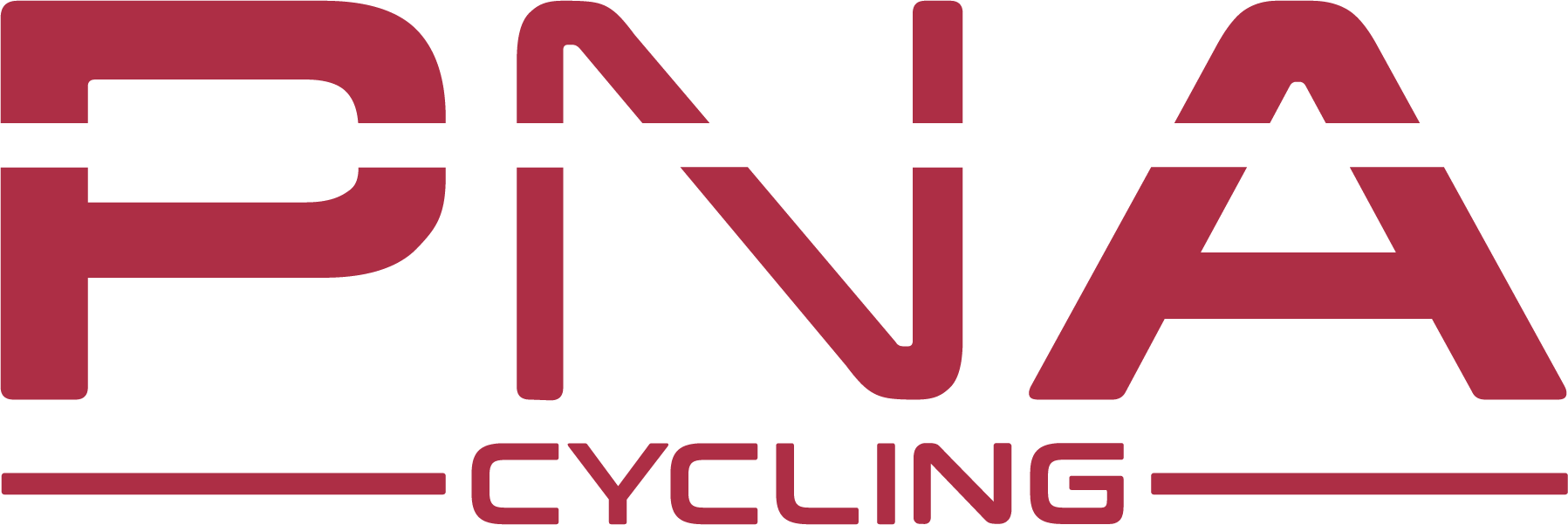 PNA